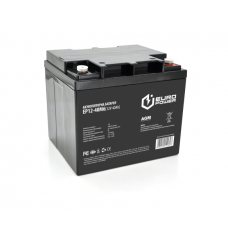 Аккумуляторная батарея EUROPOWER AGM EP12-40M6 12 V 40Ah (196 x 165 x 173),12.1 kg Black