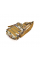 РПС Light YT25821, Haki