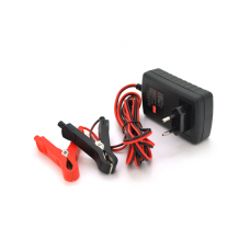 Автоматичне ЗУ для акумулятора RJTianye 6V / 12V,100-240V,2A,клеми(AGM / GEL,Lead)