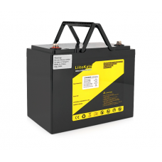 Аккумуляторная батарея LiitoKala LiFePO4 12,0V 100Ah BMS(20 / 100A) (260*170*215mm), 9.5kg