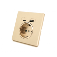 Розетка врізна із заземленням, Input: AC:110-250V / 16A, Type-C / USB-виходи, Gold