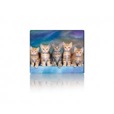Коврик 250*300 тканевой Five Cats, с боковой прошивкой, толщина 2 мм