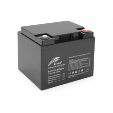 Аккумуляторная батарея Ritar LiFePO4 12,8V 50Ah 640Wh BMS25@4S (198х166х169 мм), 6.5kg