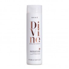 Brae Divine Anti Frizz Conditioner - Кондиционер для сохранения гладкости 250мл