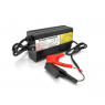 Зарядные устройства Merlion для LiFePO4 24V(29.2V/8S)